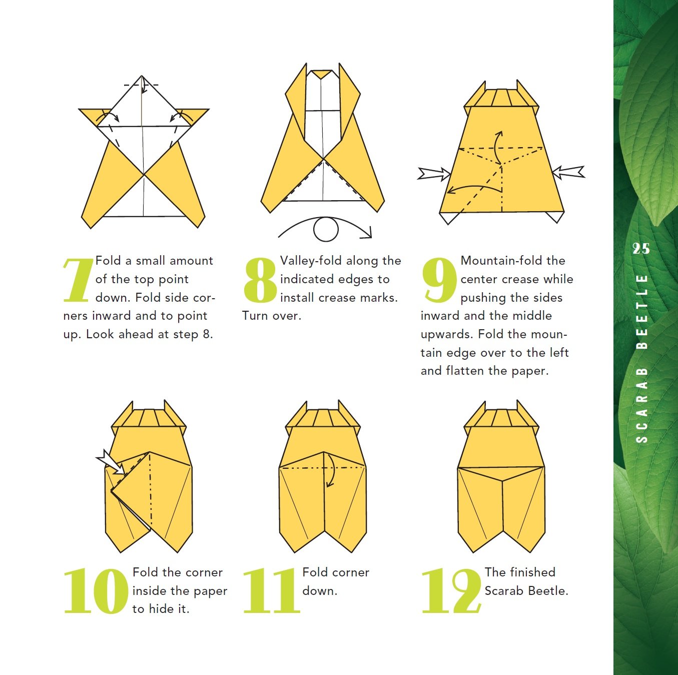 Origami Bugs Kit