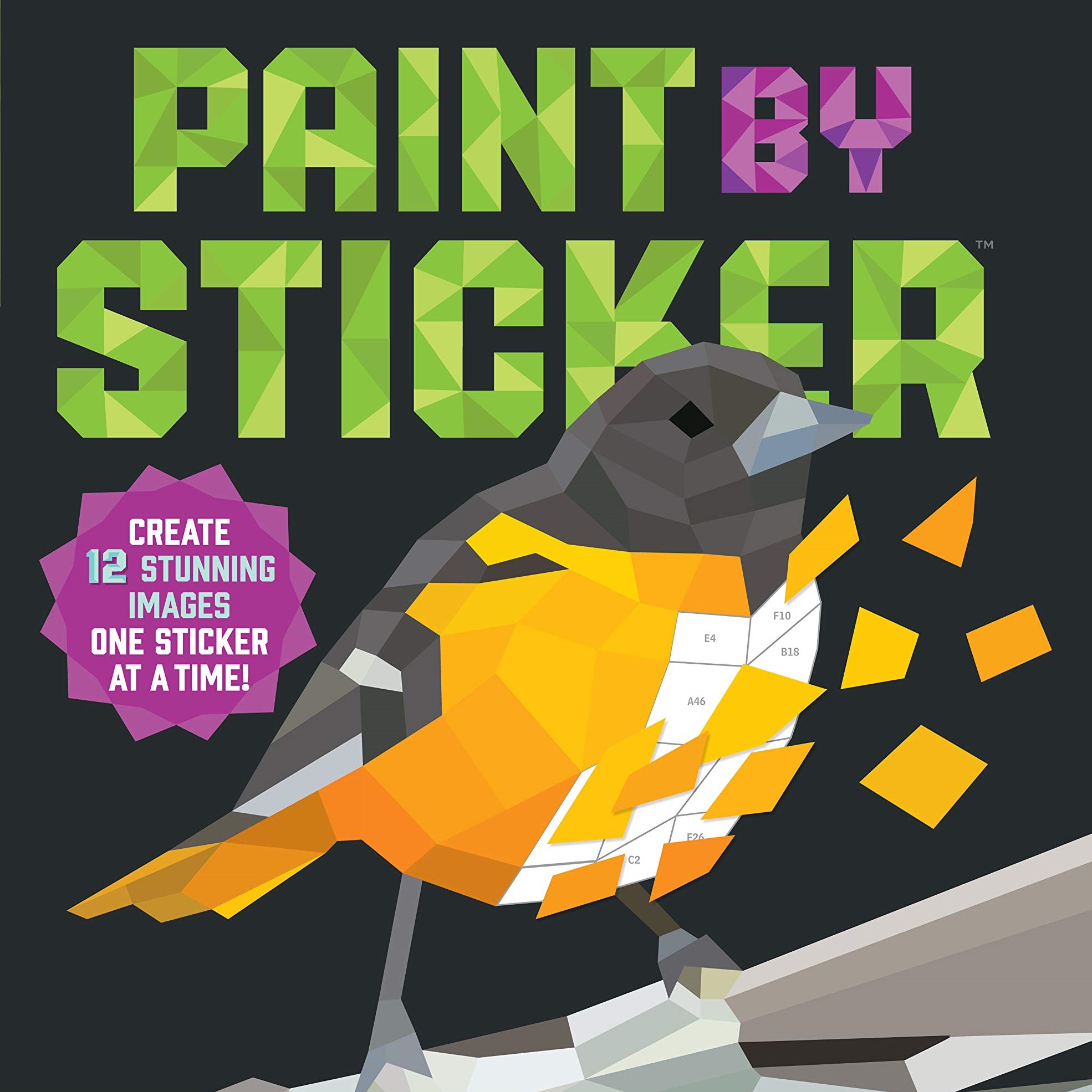 Paint by Sticker: Birds