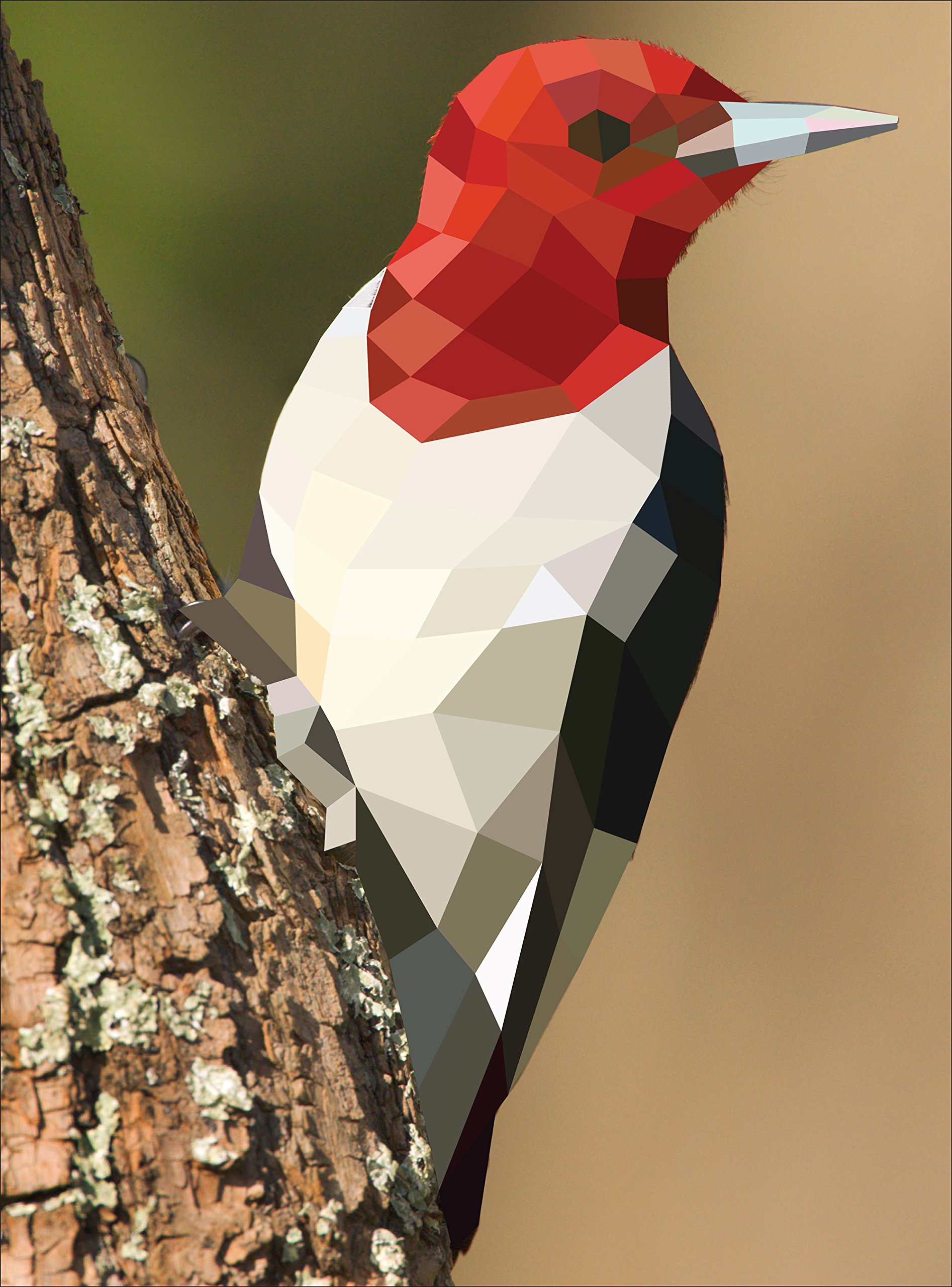 Paint by Sticker: Birds
