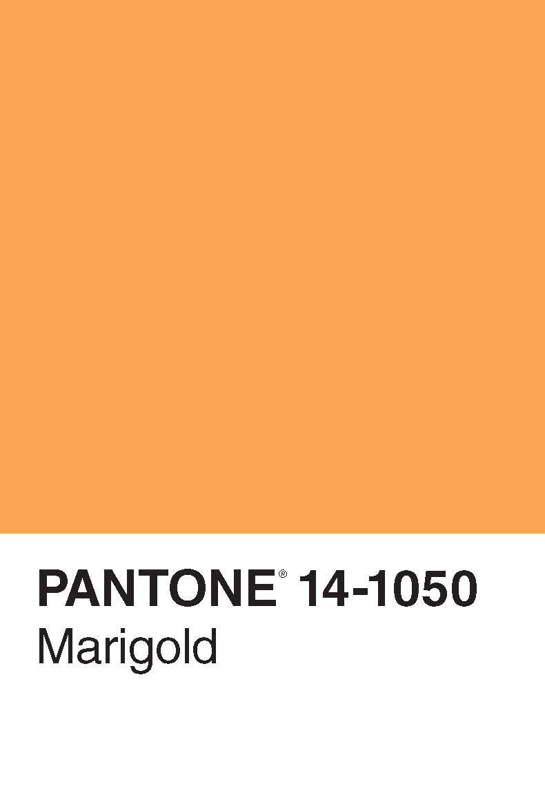 Pantone 50 Postcards