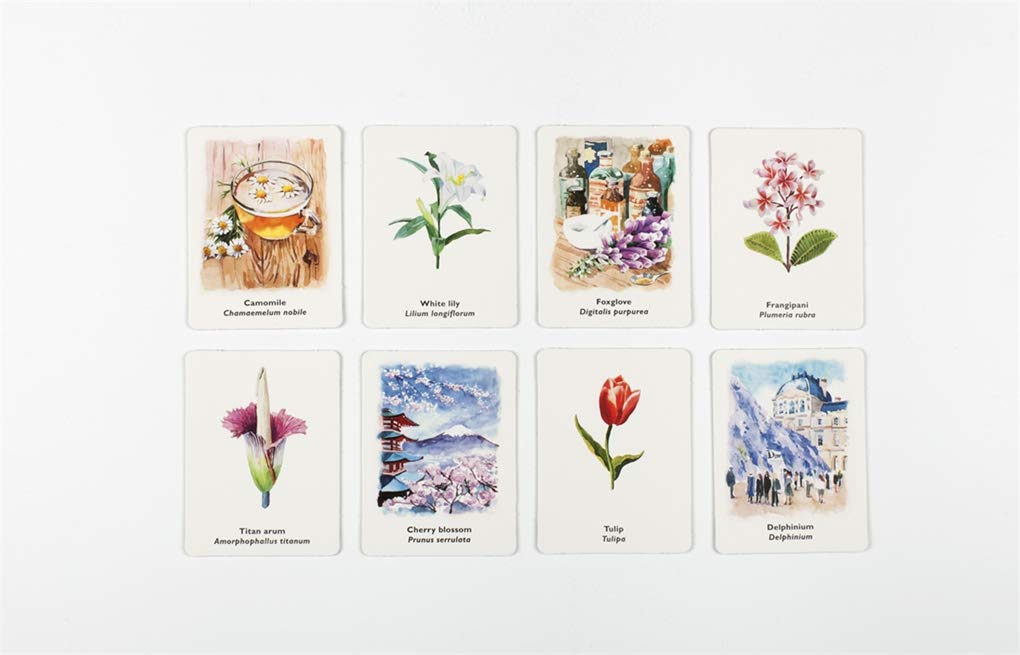 Pick a Flower: A Memory Game משחק זיכרון