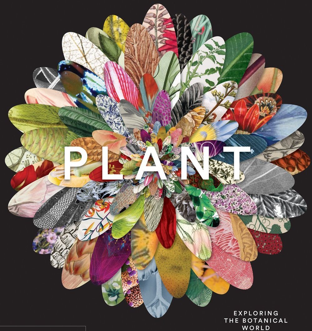 Plant: Exploring the Botanical World