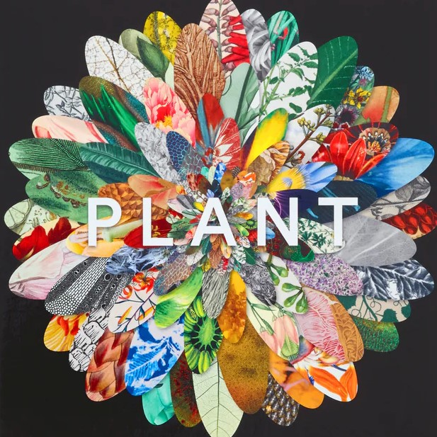 Plant: Exploring the Botanical World
