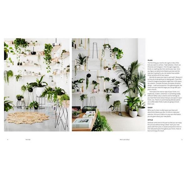 Plant Style: How to greenify your space