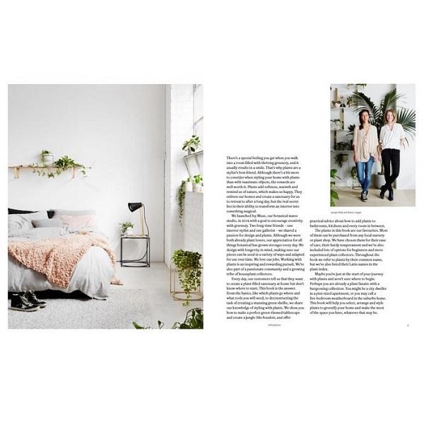 Plant Style: How to greenify your space