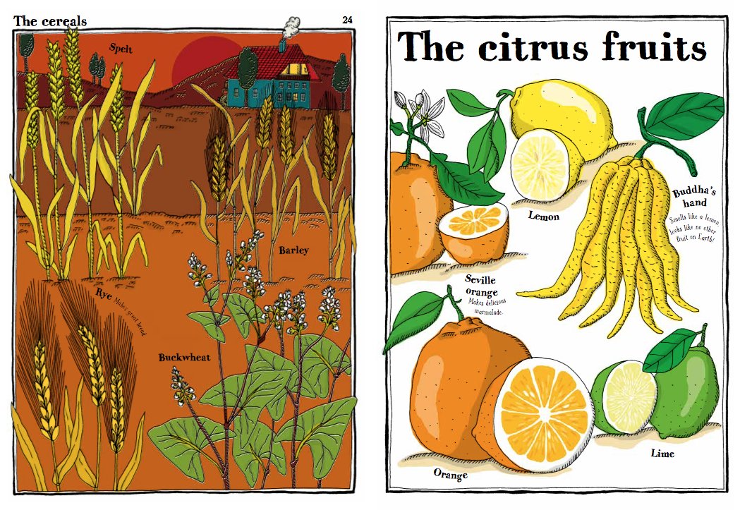 Plantopedia