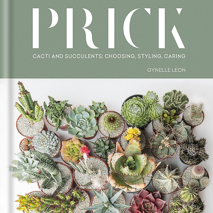 Prick: Cacti and Succulents