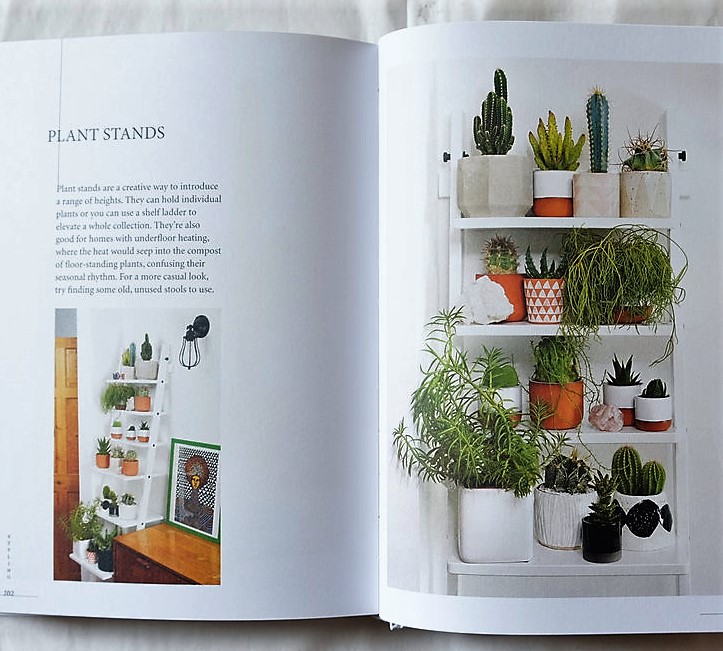 Prick: Cacti and Succulents