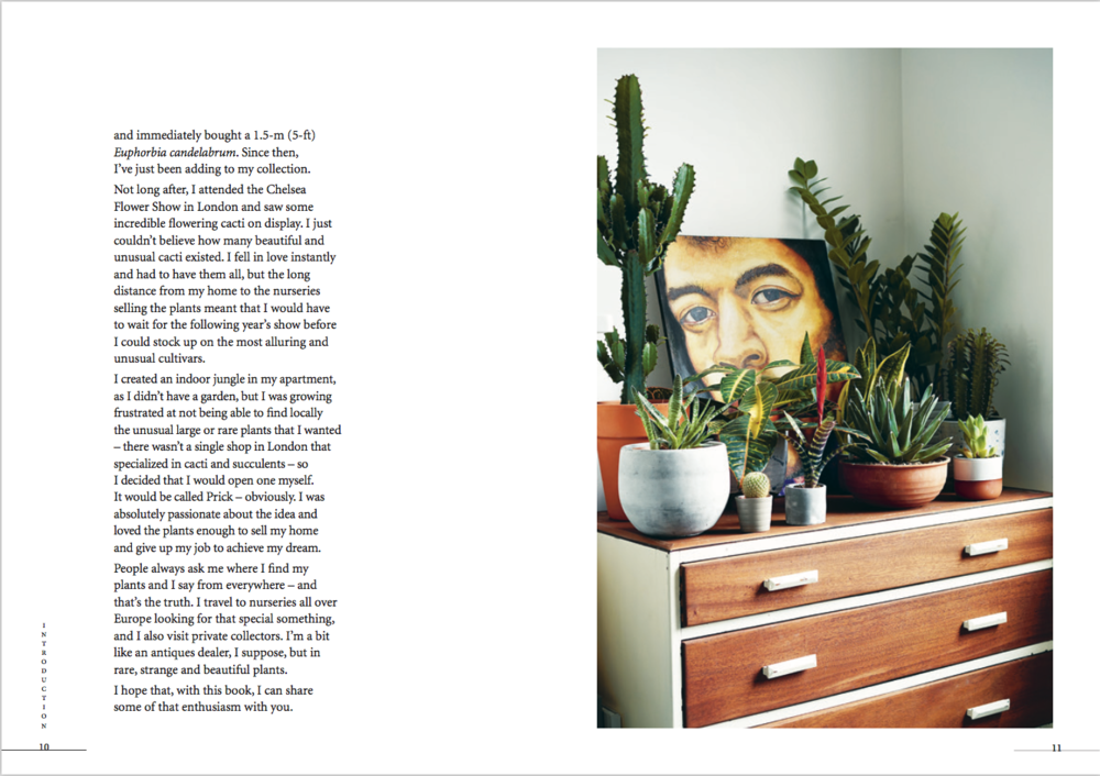 Prick: Cacti and Succulents