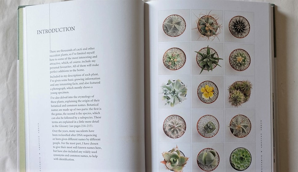 Prick: Cacti and Succulents