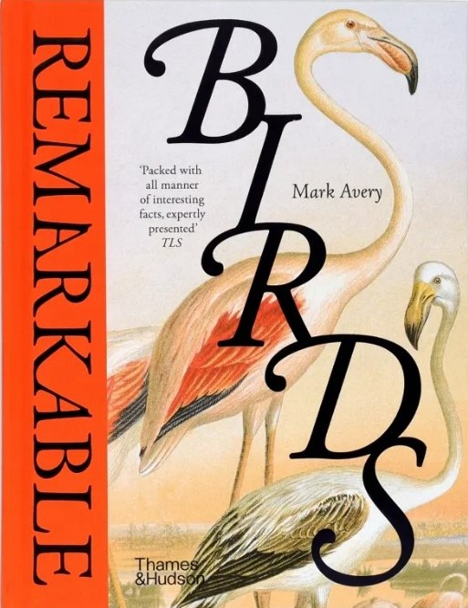 Remarkable Birds (2024)