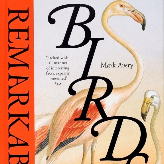 Remarkable Birds (2024)