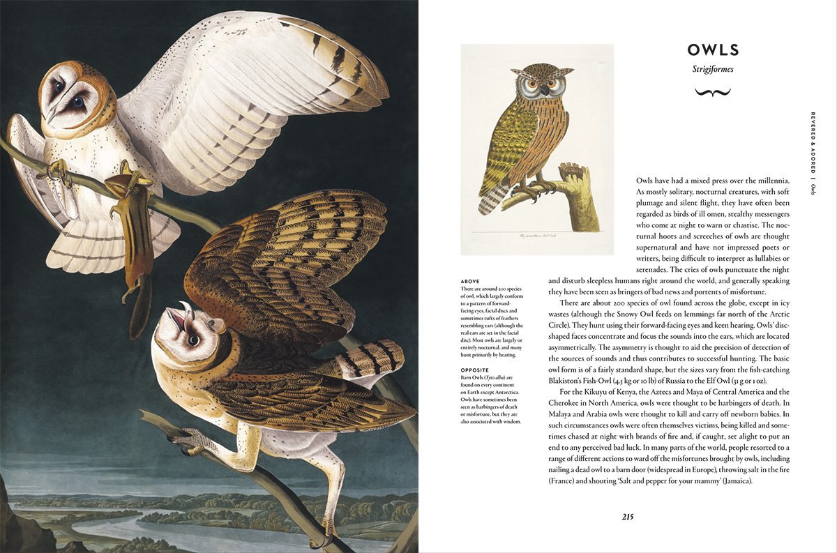 Remarkable Birds (2016)