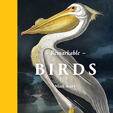 Remarkable Birds (2016)