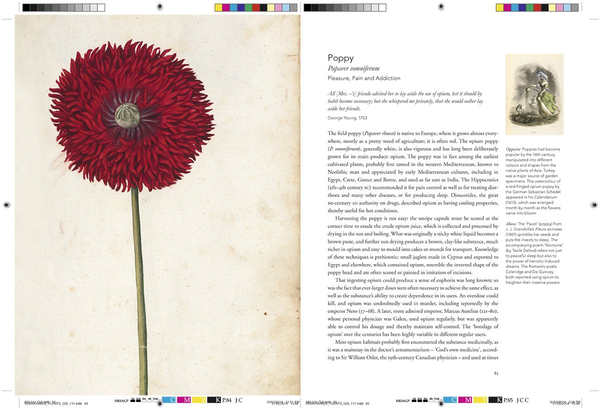 Remarkable Plants That Shape Our World