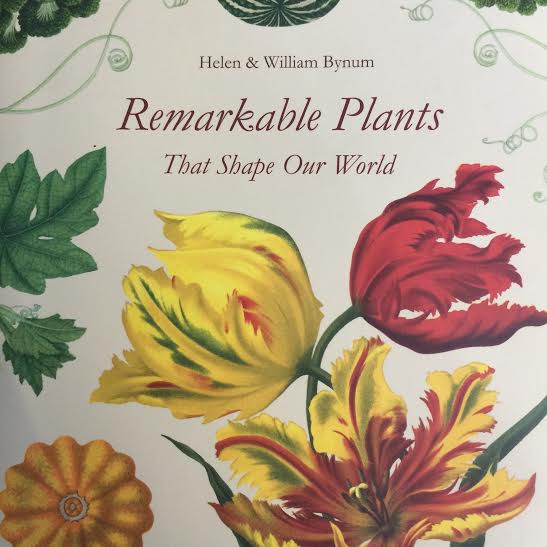 Remarkable Plants That Shape Our World