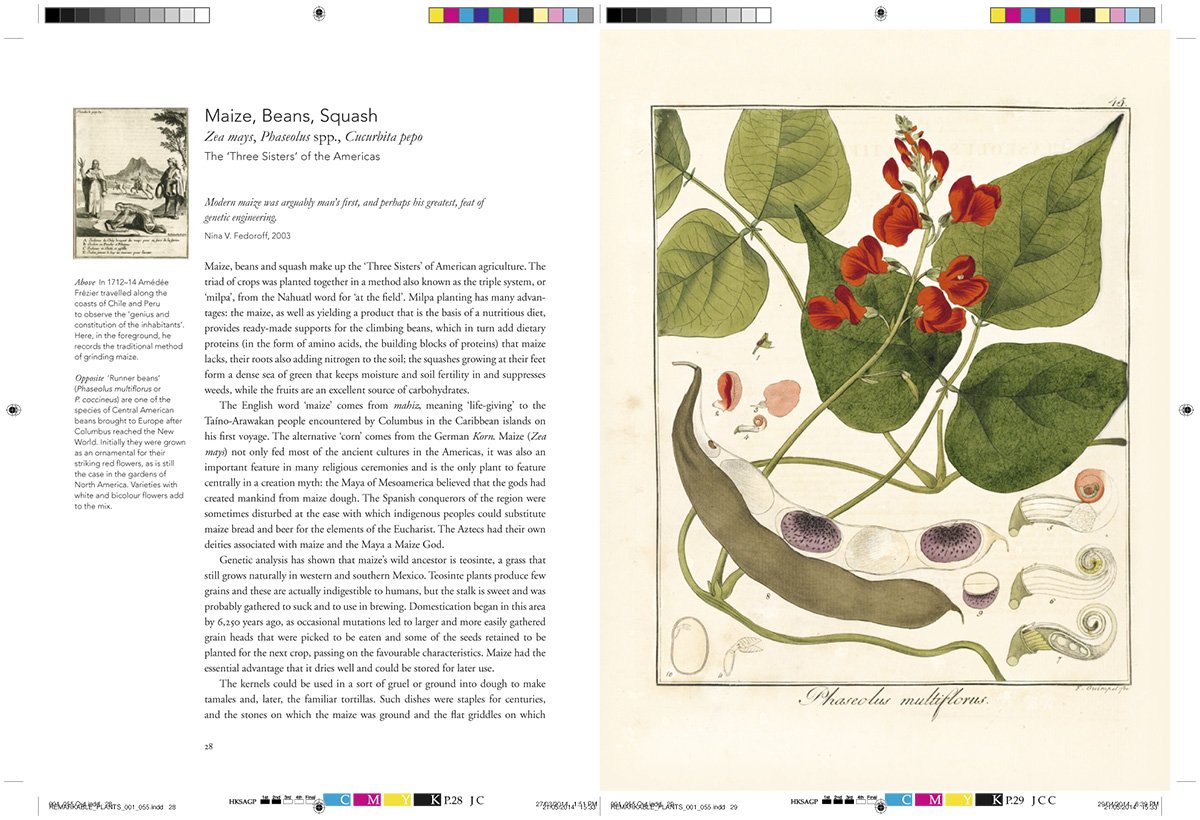 Remarkable Plants That Shape Our World