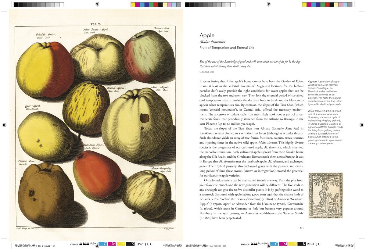 Remarkable Plants That Shape Our World