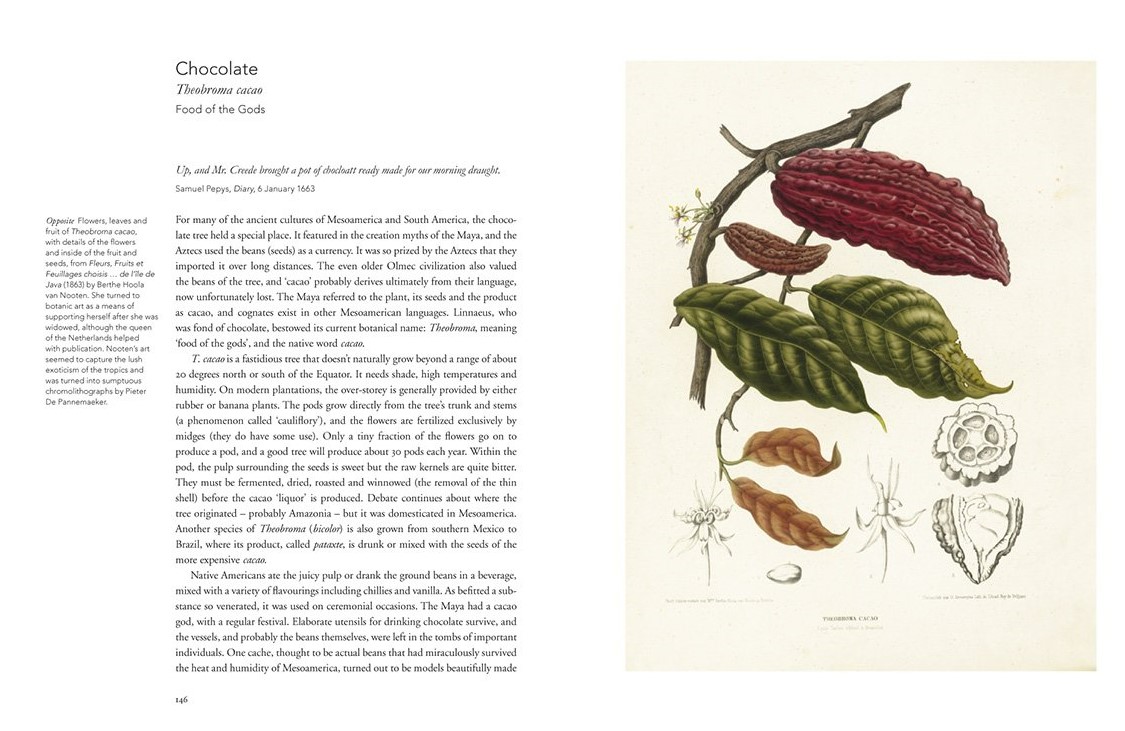 Remarkable Plants