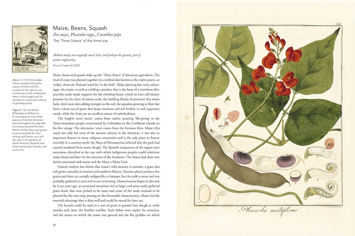 Remarkable Plants