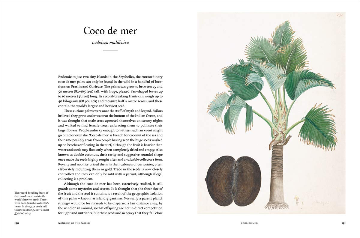 Remarkable Trees (2019)