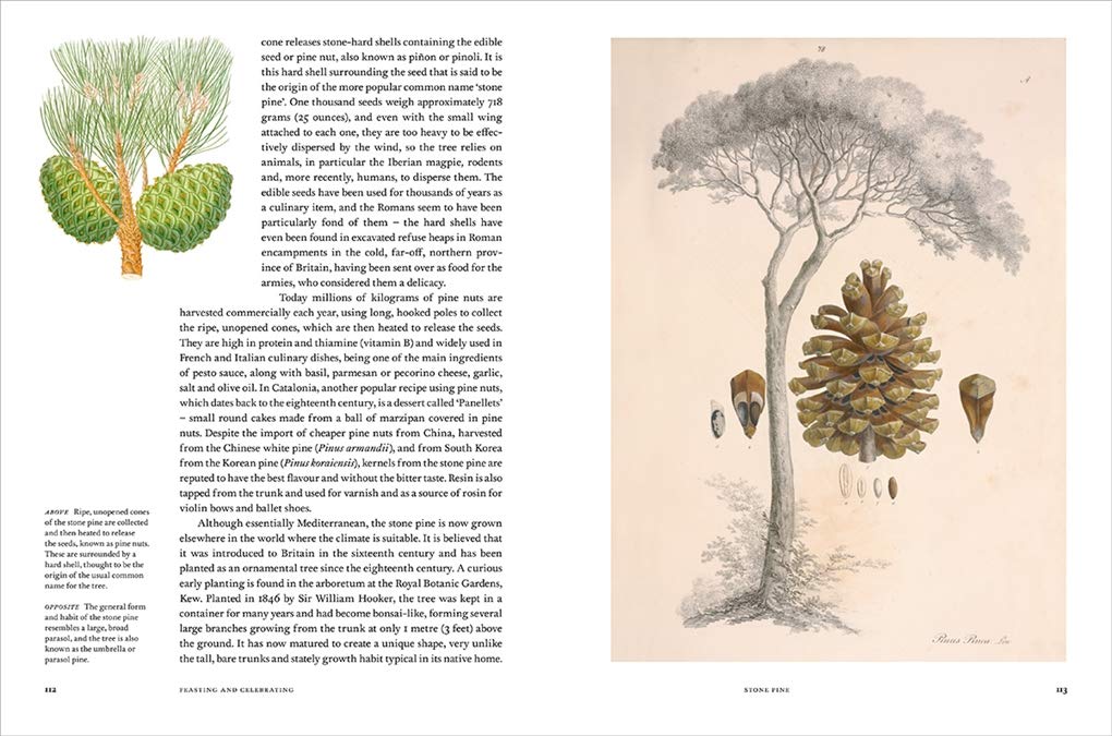 Remarkable Trees (2019)