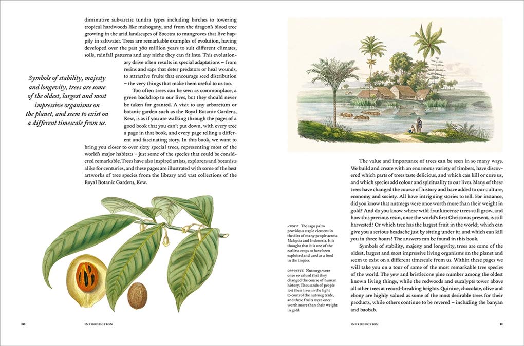 Remarkable Trees (2019)