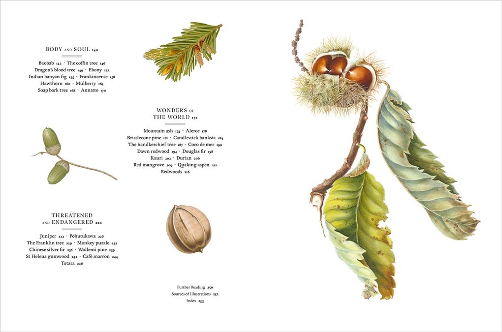 Remarkable Trees (2019)