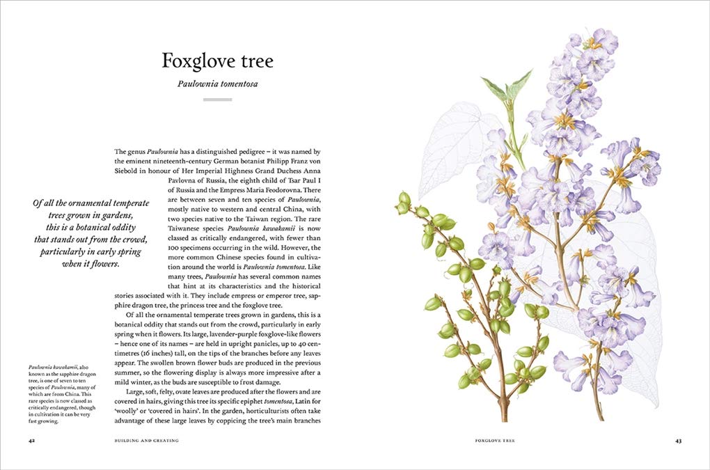 Remarkable Trees (2019)