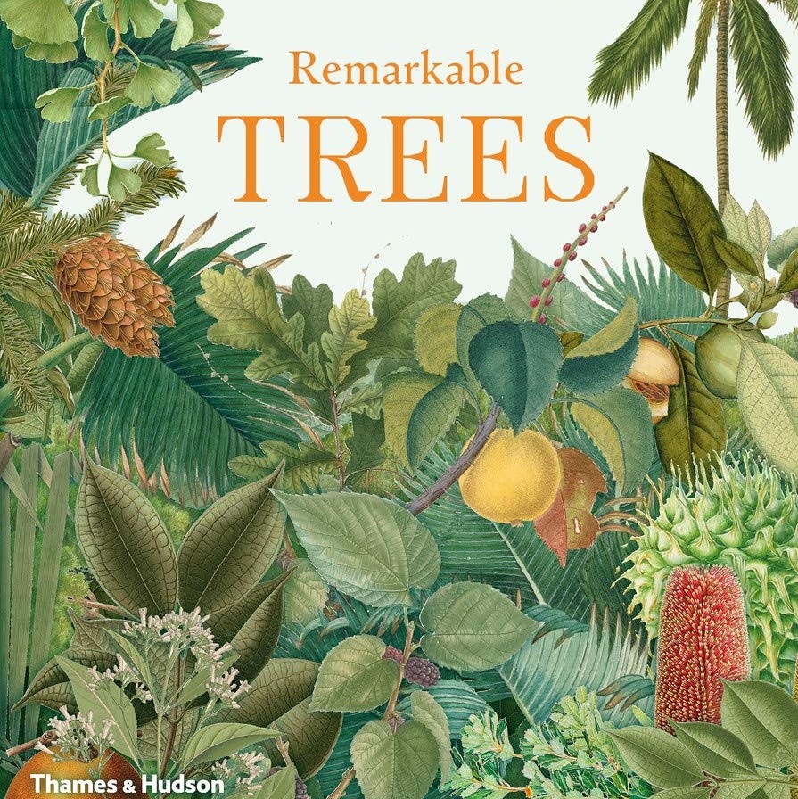 Remarkable Trees (2019)