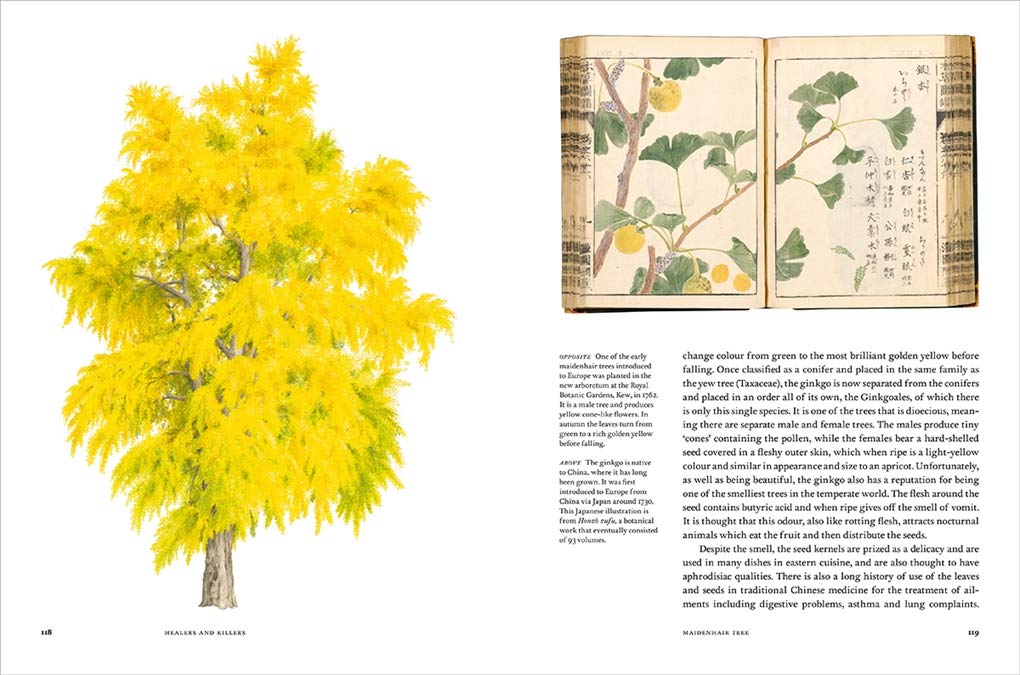 Remarkable Trees (2019)