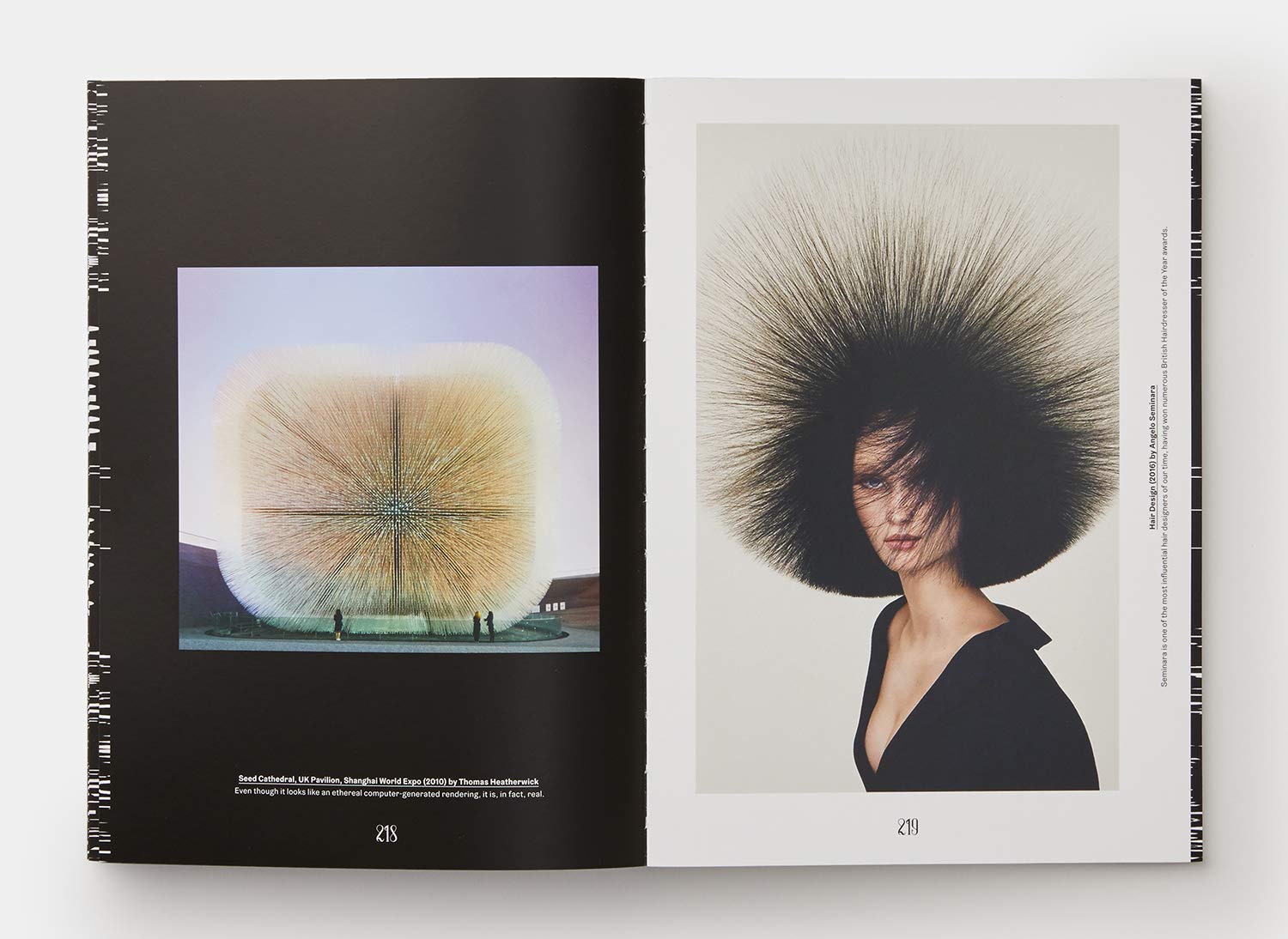 Sagmeister & Walsh: Beauty