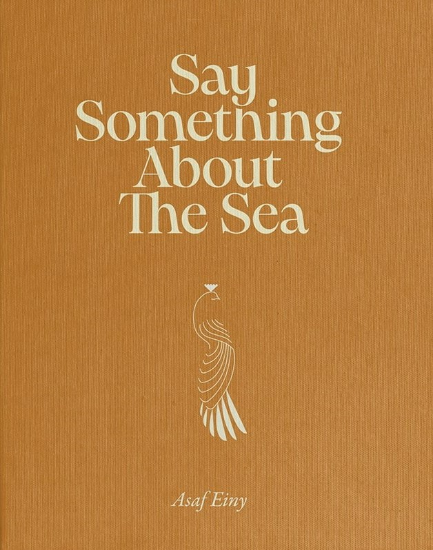 Say Something About the Sea
