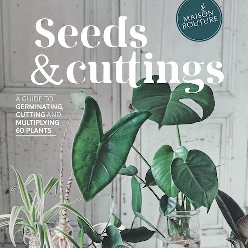 Seeds & Cuttings