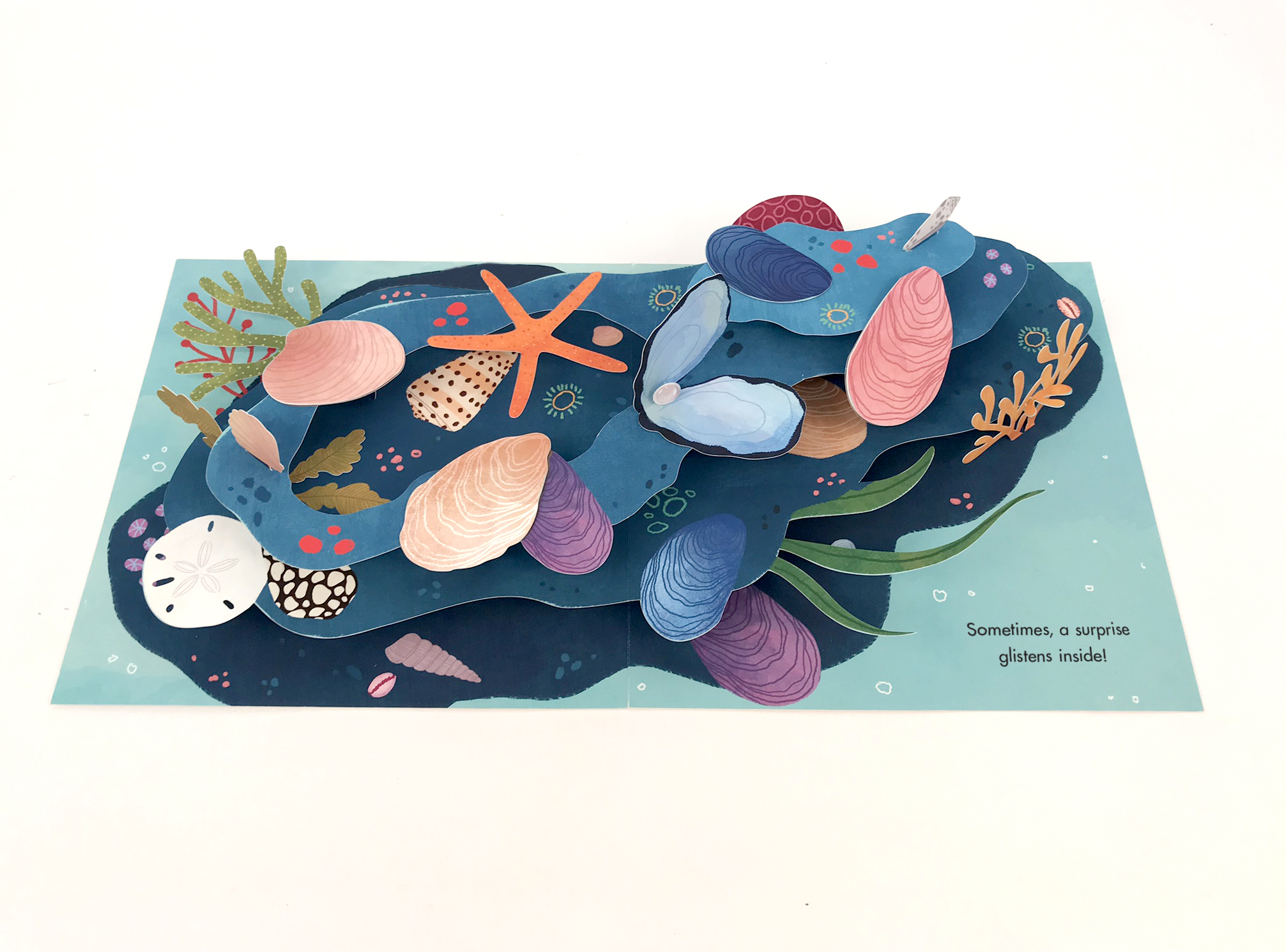 Shells: A Pop-Up Book of Wonder