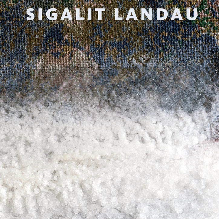 Sigalit Landau Salt Years