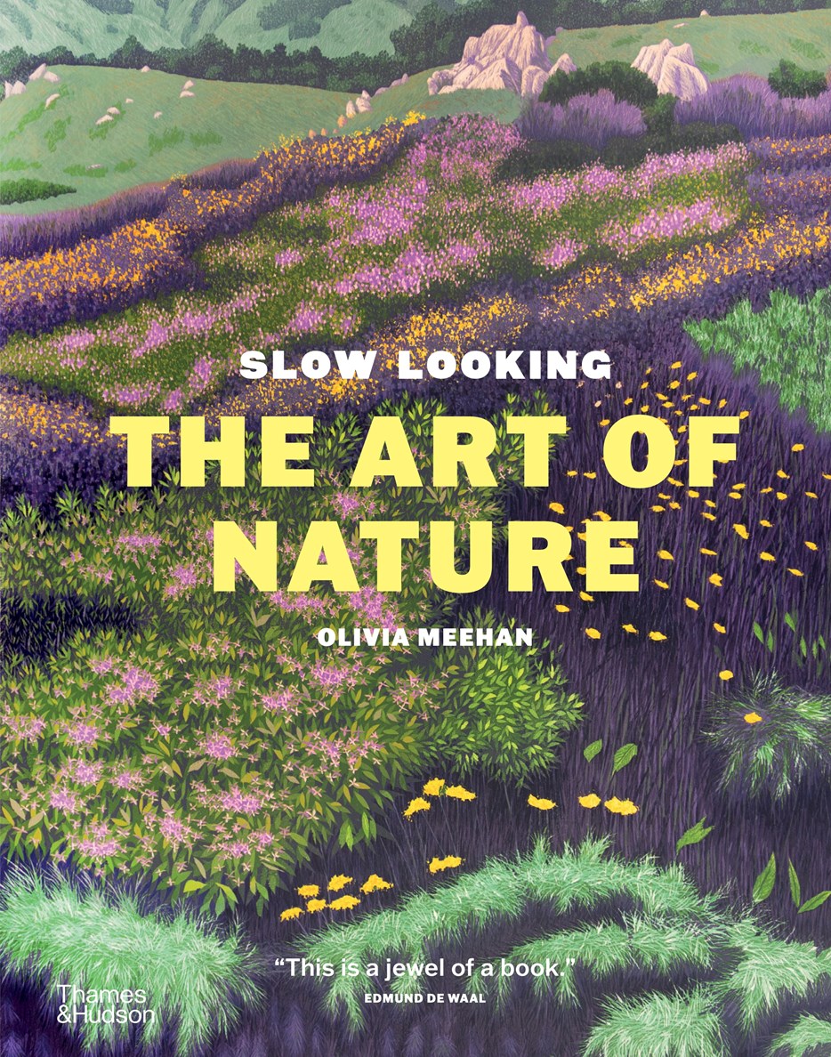 Slow Looking: The Art of Nature