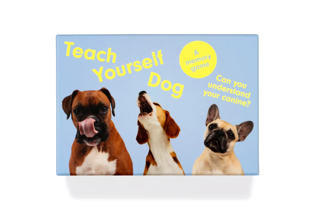 Teach Yourself Dog: A memory game משחק זיכרון
