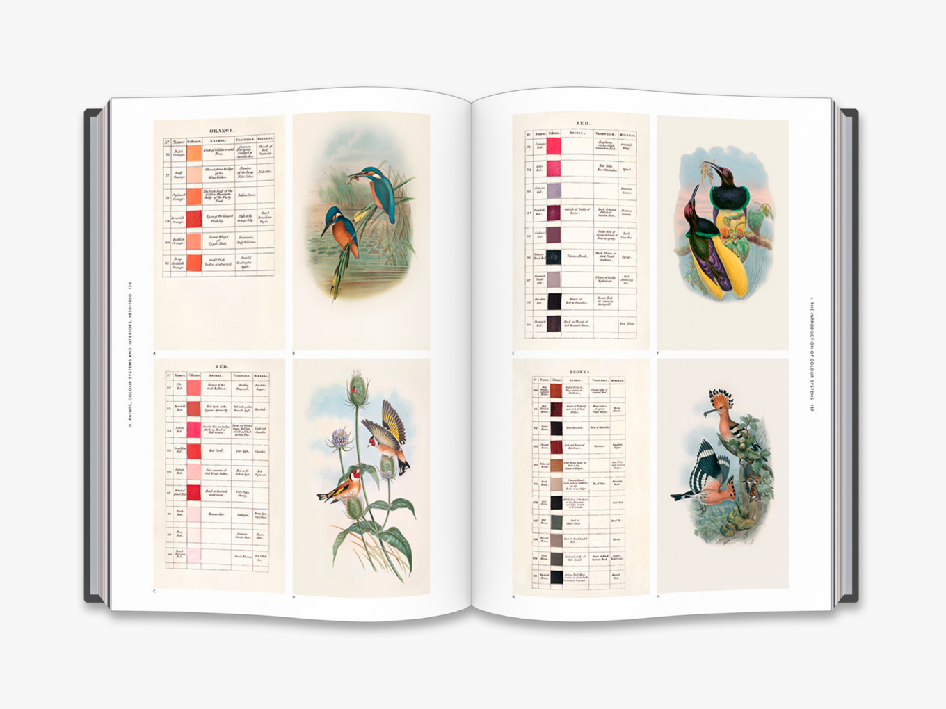 The Anatomy of Colour