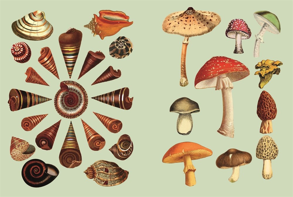 The Antiquarian Sticker Book