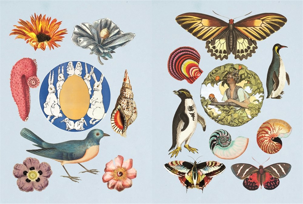 The Antiquarian Sticker Book