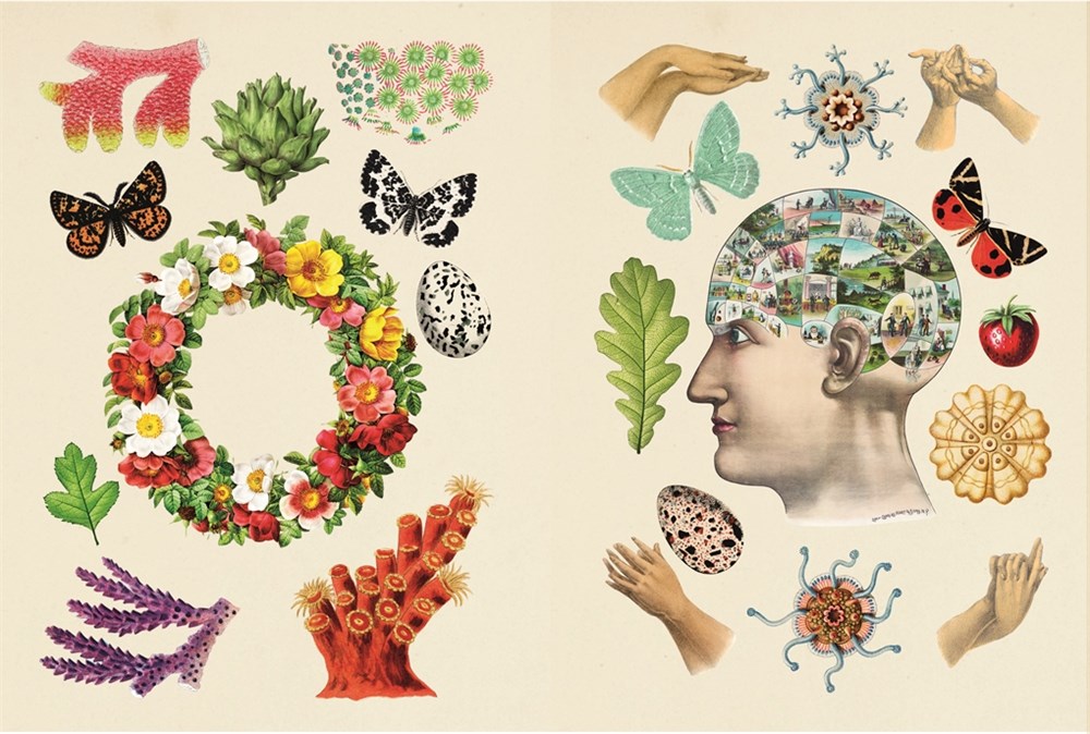 The Antiquarian Sticker Book