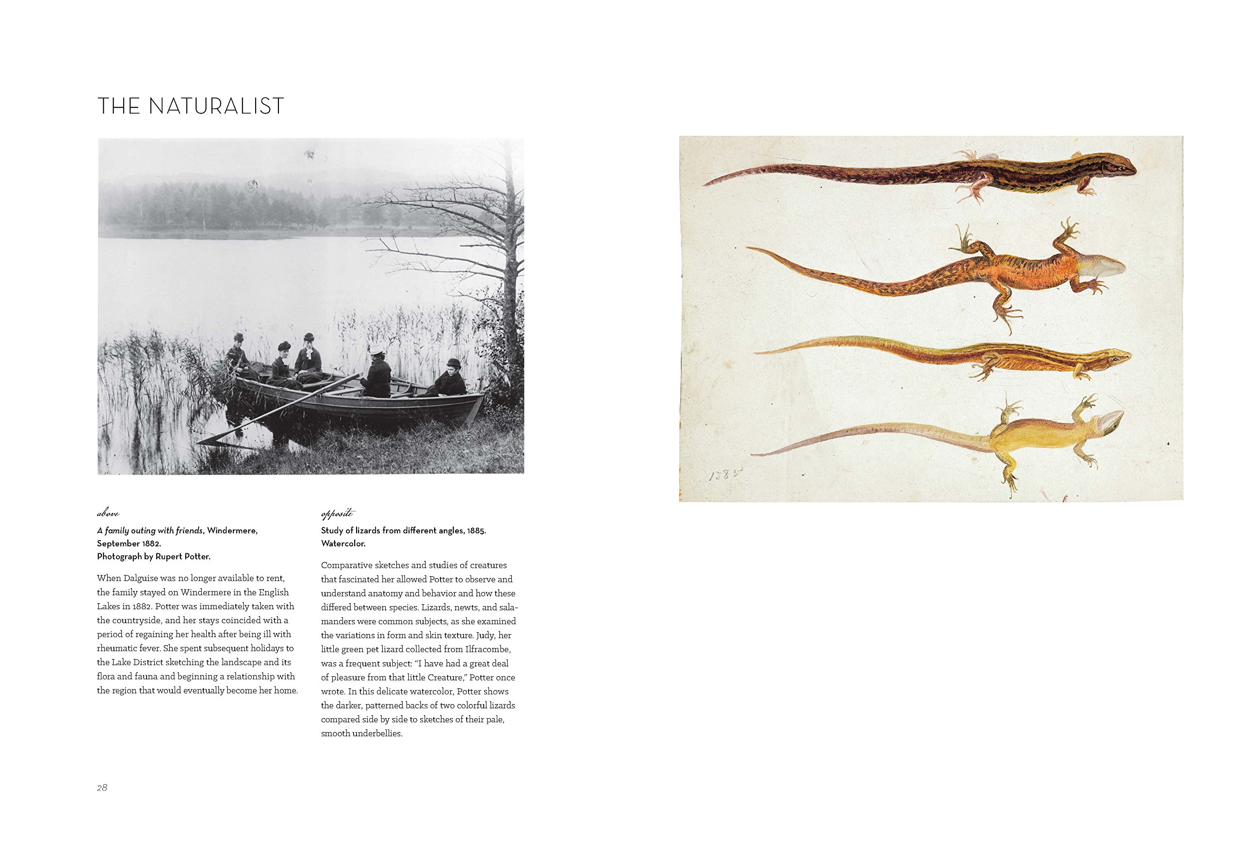 The Art of Beatrix Potter