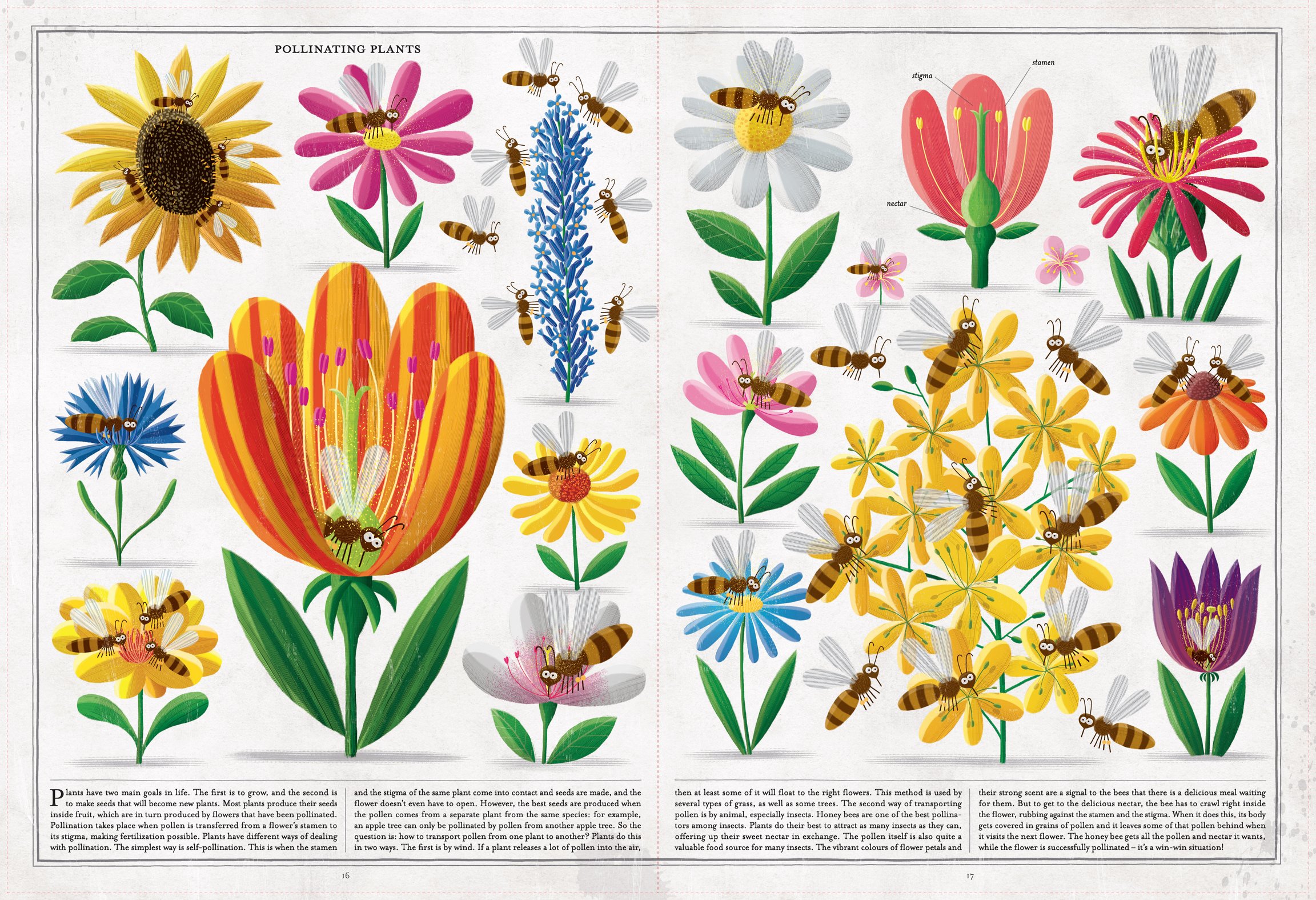 The Book of Bees
