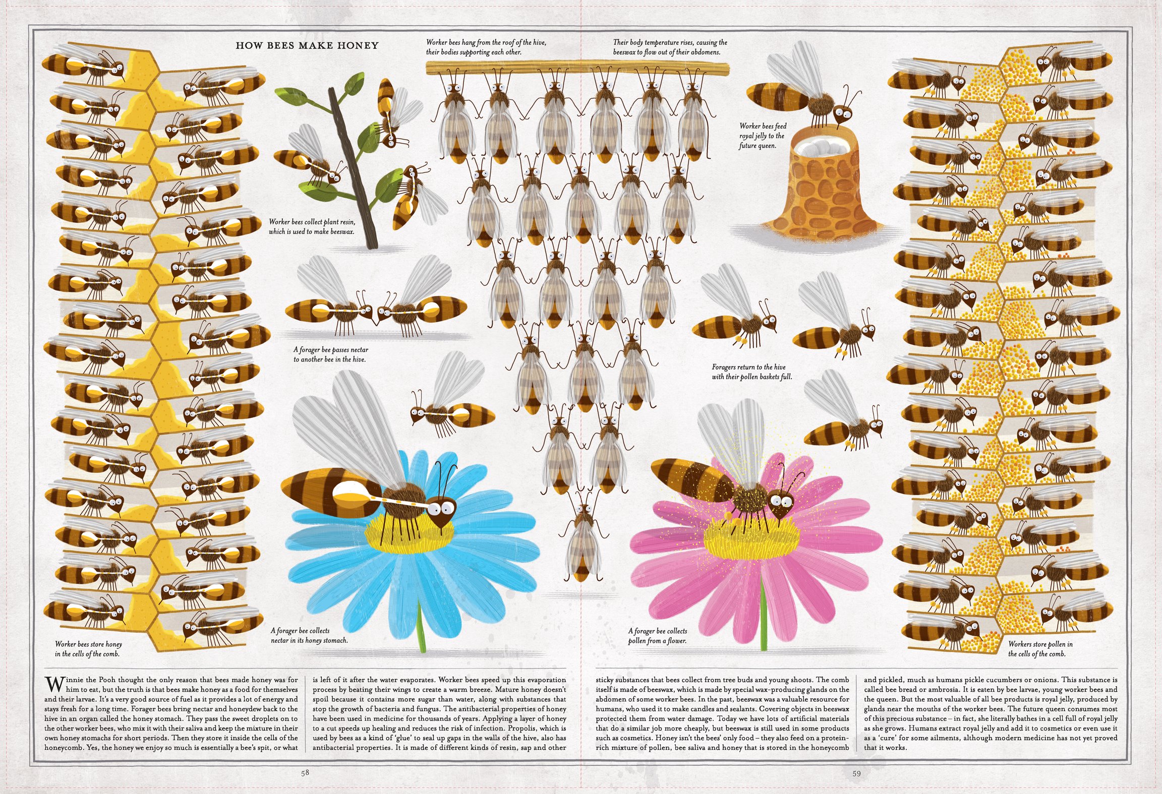 The Book of Bees