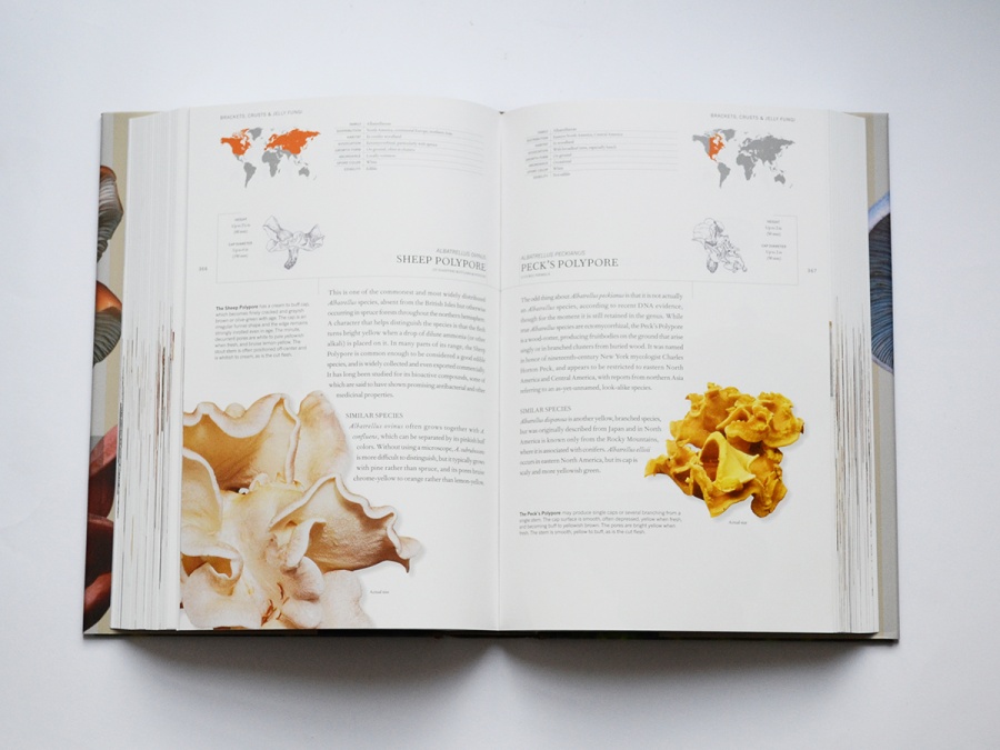 The Book of Fungi: A Life-Size Guide to Six Hundred Species from around the World