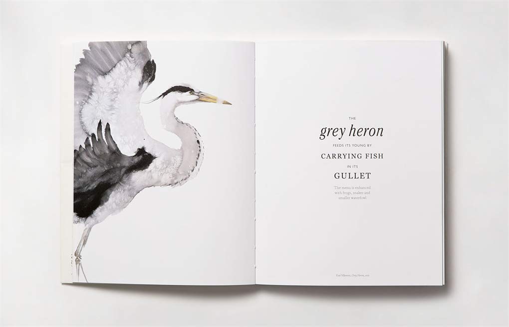 The Book of the Bird