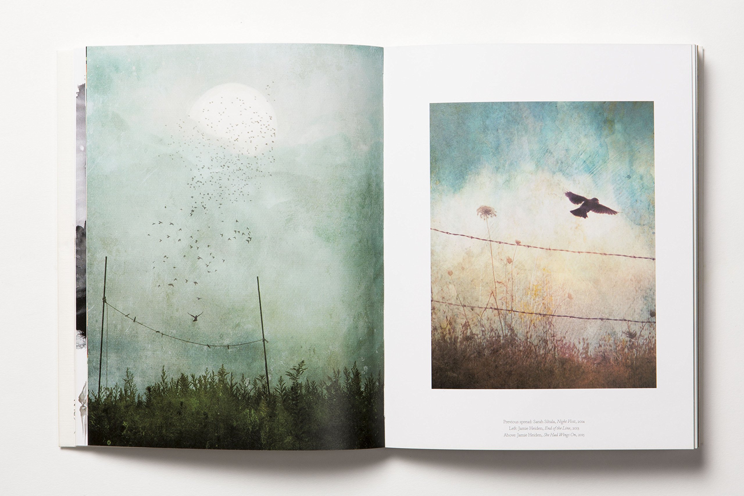 The Book of the Bird