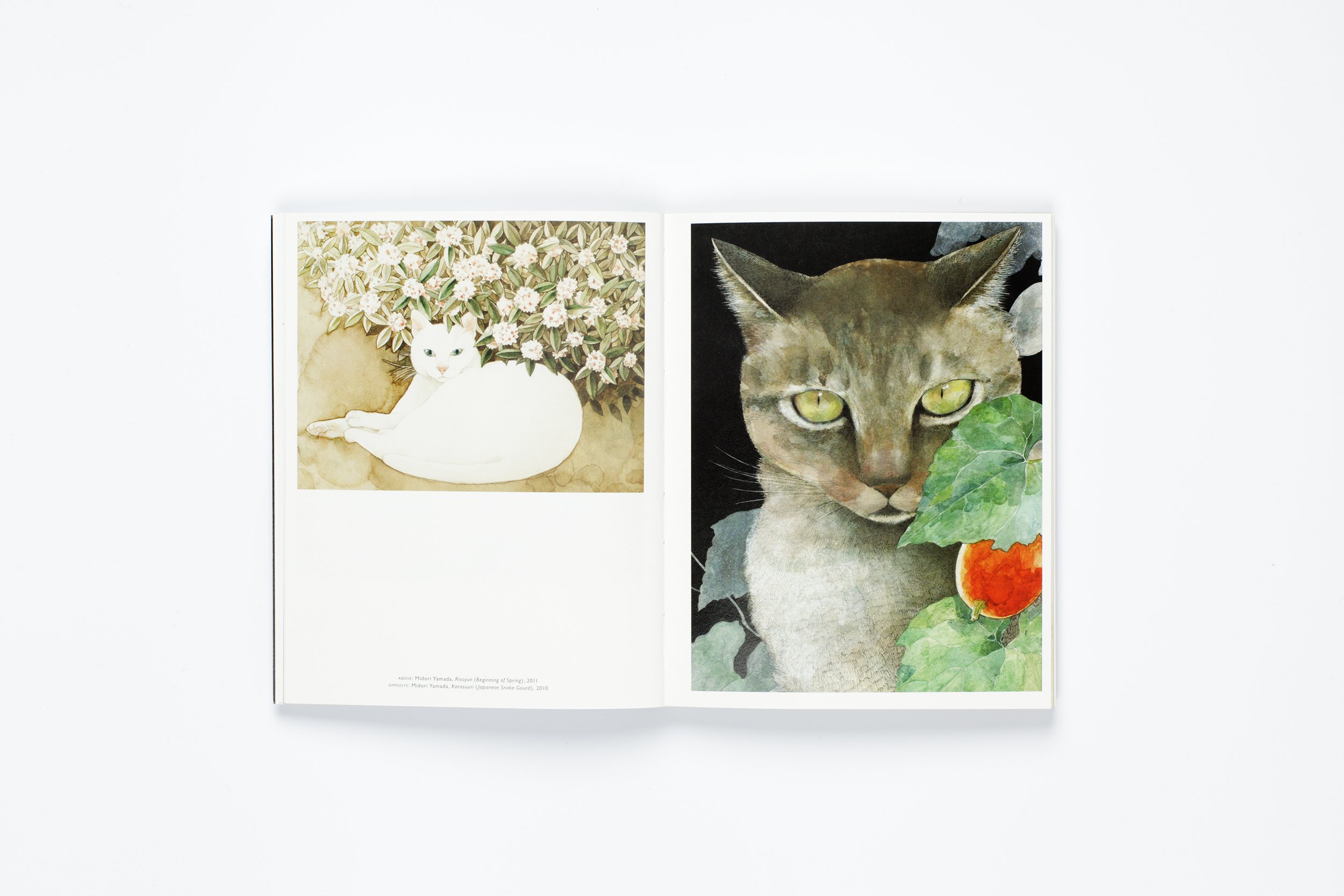The Book of the Cat
