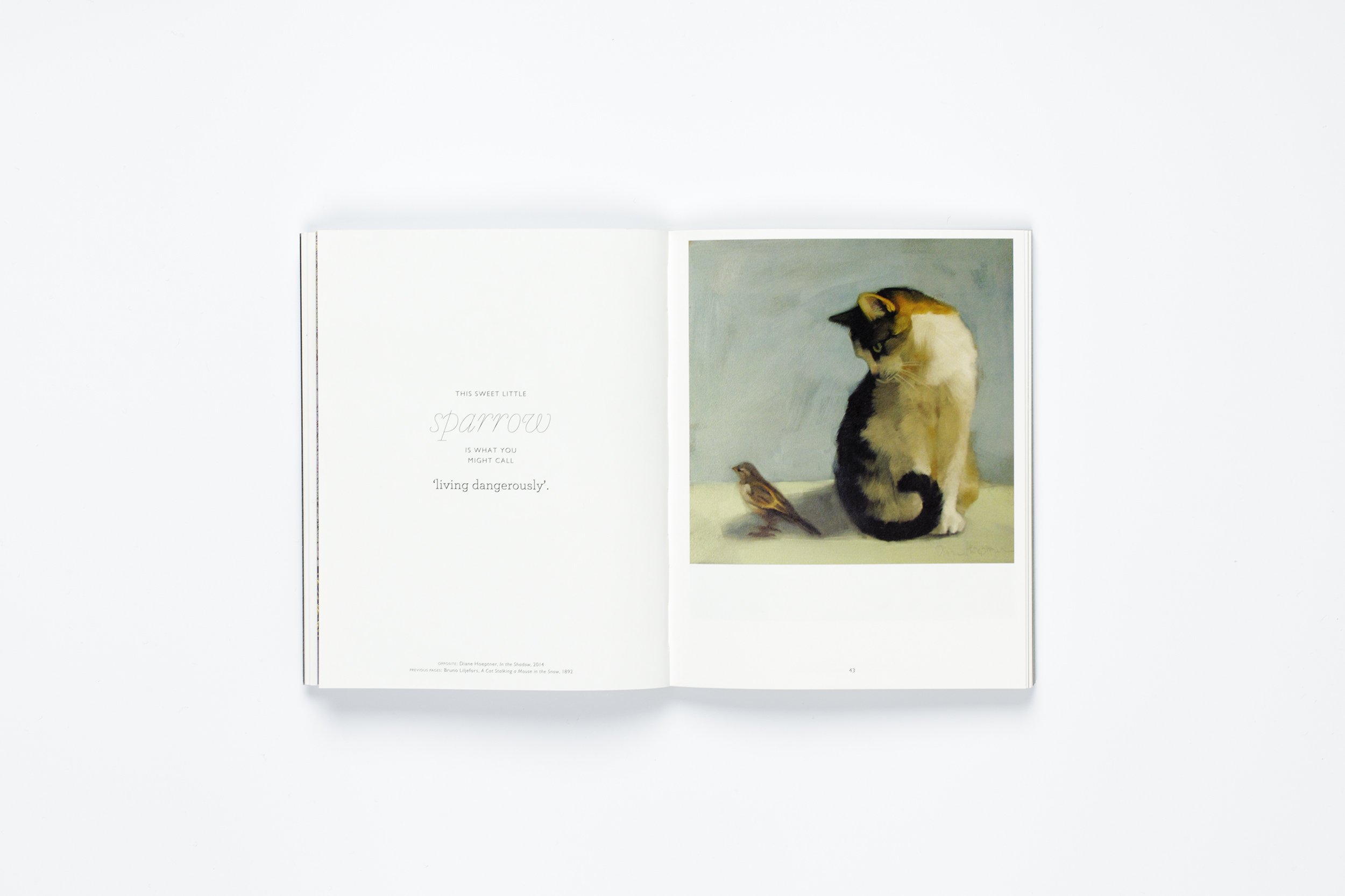 The Book of the Cat
